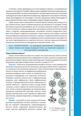 10bs2018ua 190907170246