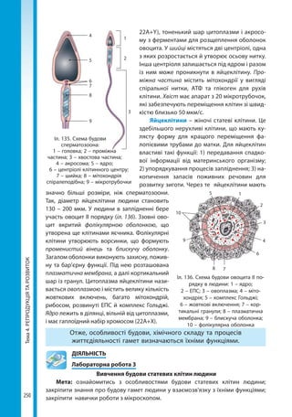 10bs2018ua 190907170246