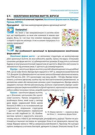 29
§7.Неклітинніформижиття.Віруси
Істоти на межі хімії та життя.
О. М. Шкроб
§ 7.	 НЕКЛІТИННІ ФОРМИ ЖИТТЯ. ВІРУСИ
Основні поняття й ключові терміни: Неклітинні форми життя. Віроїди.
Пріони. ВІРУСИ.
Пригадайте!	 Що таке молекулярний рівень організації життя?
	Поміркуйте!
На Землі є такі макромолекули й системи моле-
кул, що перебувають на межі між неживою й живою при-
родою. Вони, як і всі інші тіла неживої природи, утворені
з атомів й простих молекул. А які ж ознаки поєднують їх із
живою природою?
	ЗМІСТ
	 Які особливості організації та функціонування неклітинних
форм життя?
Неклітинні форми життя – це автономні структури на молекулярному
рівні організації життя, до яких відносять віроїди, пріони та віруси. Спільними
ознаками цих форм життя є: а) субмікроскопічні розміри; б) відсутність клітинної
будови; в) внутрішньоклітинний паразитизм; в) здатність зберігати свої ознаки та
змінюватися під упливом умов; г) здатність до самовідтворення.
Віроїди – неклітинні форми життя у вигляді одноланцюгової кільцеподібної
РНК, що не кодує білків. Віроїди було відкрито в 1971 р. американським біологом
Т. О. Дінером. Ці субмікроскопічні частинки захисної білкової оболонки не мають,
їхня РНК містить 250 – 375 нуклеотидів і має масу від 86 – 130 кДа. Віроїди потра-
пляють у клітини організму хазяїна під час його вегетативного розмноження, за
допомогою комах або механічним шляхом у разі пошкодження. Віроїди можуть
завдавати значних збитків рослинництву, оскільки спричиняють віроїдні захво-
рювання рослин (веретеноподібність бульб картоплі, карликовість хризантем,
каданг-каданг кокосових пальм, хвороба жовтих плям рису та ін.).
Пріони – неклітинні форми життя,
що є білковими частинками без нуклеї­
нової кислоти. Пріони складаються із
особливого білка, який існує у вигляді
двох форм: нормальний білок масою
близько 25 400 а. о. м. та аномальний, що
відрізняється вторинною структурою
і здатний перетворювати нормальний
білок на собі подібний (іл. 10). Особли-
востями пріонів є відсутність власного
геному, висока стійкість до температури, ультрафіолету, радіації. Пріони не роз-
пізнаються імунною системою як чужорідні білки й не провокують імунної від-
повіді. Відкрив пріони в 1982 р. американський біохімік С. Прузінер. На сьогодні
пріони знайдено в клітинах бактерій, дріжджів й ссавців. Описано понад 10 не-
Іл. 10. Форма пріонів: 1 – нормальна фор-
ма білка; 2 – аномальна форма білка
1 2
Право для безоплатного розміщення підручника в мережі Інтернет має
Міністерство освіти і науки України http://mon.gov.ua/ та Інститут модернізації змісту освіти https://imzo.gov.ua
 