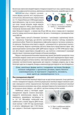 30
Тема1.БІОРІЗНОМАНІТТЯ безпечних пріонних хвороб тварин й людини (коров’ячий сказ, скрейпі овець, губ-
часта енцефалопатія котячих, фатальне сімейне безсоння, хвороба куру та ін.).
ВІРУСИ (лат. virus – отрута) – це неклі-
тинні форми життя, які є внутрішньо-
клітинними абсолютними паразитами
(іл. 11). Наразі близько 5 000 видів вірусів
ідентифіковано, тоді як вчені вважають,
що існує понад мільйон видів вірусів.
Відкрито віруси в 1892 р. російським бо-
таніком Д. Івановським (1864–1920). Роз-
міри більшості вірусів – у межах від 20 до 300 нм, хоча є серед них й справжні
велетні серед неклітинних форм життя. Це мега- й мімівіруси з розмірами бли­
зько 600 нм.
Віруси мають капсид з білкових частинок – капсомерів і нуклеїнову кисло-
ту  – серцевину. Структуру, що містить нуклеїнову кислоту і капсид, називають
нуклео­капсидом. Повністю сформована інфекційна вірусна частинка називаєть-
ся віріоном. Унікальна властивість вірусів – різноманітність організації генетич-
ного матеріалу. Вірусна нуклеїнова кислота може бути представлена одно- або
дволанцюговими молекулами ДНК (ДНК-вмісні віруси) чи РНК (РНК-вмісні віру-
си). Для вірусів характерна специфічність, що полягає в можливості взаємодії
вірусів лише з певними рецепторами клітинних мембран.
Віруси є внутрішньоклітинними паразитами архей, бактерій й еукаріотів і поза
клітинами жодних ознак життя не виявляють. Для свого відтворення віруси вико-
ристовують ресурси клітини-хазяїна, чим спричиняють вірусні захворювання. Ос-
новними систематичними одиницями для вірусів є порядок, родина, рід та вид.
Категорії царства та відділів, бінарна номенклатура для вірусів не застосовуються.
Отже, неклітинні форми життя є складовою частиною біосфери,
оскільки побудовані з органічних речовин, мають біотичні
взаємовідносини, їм притаманні спадковість, мінливість,
вони здатні до самовідтворення та ін.
Яке походження вірусів?
Шляхи й механізми еволюції вірусів ще не достатньо вивчено. Існує декілька
гіпотез походження вірусів: гіпотеза регресивної еволюції (віруси виникли шля-
хом спрощення клітин паразитичних бактерій), гіпотеза паралельної еволюції
(віруси виникли незалежно від клітин, використовуючи їхні можливості), гіпоте-
за «скажених генів» (віруси – це «збіглі» частини геному клітин-хазяїв).
Найбільші зміни у поглядах щодо
походження вірусів сталися внаслідок
відкриття велетенських вірусів, як-то
мімівіруси, мамавіруси, мегавіруси та
ін. (іл. 12). Мегавірус чілійський має
найбільший з-поміж вірусів ДНК-геном,
який налічує 1 259 197 пар нуклеотидів
й містить інформацію про 1120 білків,
що сумірно з багатьма паразитичними
Іл. 11. Вірусні частинки: 1 – герпесу;
2 – грипу; 3 – тютюнової мозаїки;
4 – бактеріофаг
1 2 3 4
Іл. 12. Одні з найбільших вірусів:
1 – мегавірус; 2 – мімівірус
1 2
Право для безоплатного розміщення підручника в мережі Інтернет має
Міністерство освіти і науки України http://mon.gov.ua/ та Інститут модернізації змісту освіти https://imzo.gov.ua
 