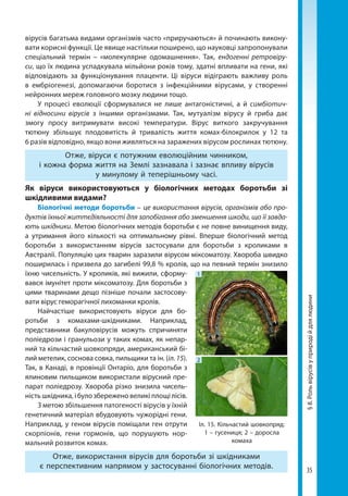 35
§8.Рольвірусівуприродійдлялюдини
вірусів багатьма видами організмів часто «приручаються» й починають викону-
вати корисні функції. Це явище настільки поширено, що науковці запропонували
спеціальний термін – «молекулярне одомашнення». Так, ендогенні ретровіру-
си, що їх людина успадкувала мільйони років тому, здатні впливати на гени, які
відповідають за функціонування плаценти. Ці віруси відіграють важливу роль
в ембріо­генезі, допомагаючи боротися з інфекційними вірусами, у створенні
нейронних мереж головного мозку людини тощо.
У процесі еволюції сформувалися не лише антагоністичні, а й симбіотич-
ні відносини вірусів з іншими організмами. Так, мутуалізм вірусу й гриба дає
змогу просу витримувати високі температури. Вірус виткого закручування
тютюну збільшує плодовитість й тривалість життя комах-білокрилок у 12 та
6 разів відповідно, якщо вони живляться на заражених вірусом рослинах тютюну.
Отже, віруси є потужним еволюційним чинником,
і кожна форма життя на Землі зазнавала і зазнає впливу вірусів
у минулому й теперішньому часі.
Як віруси використовуються у біологічних методах боротьби зі
шкідливими видами?
Біологічні методи боротьби – це використання вірусів, організмів або про-
дуктів їхньої життєдіяльності для запобігання або зменшення шкоди, що її завда-
ють шкідники. Метою біологічних методів боротьби є не повне винищення виду,
а утримання його кількості на оптимальному рівні. Вперше біологічний метод
боротьби з використанням вірусів застосували для боротьби з кроликами в
Австралії. Популяцію цих тварин заразили вірусом міксоматозу. Хвороба швидко
поширилась і призвела до загибелі 99,8 % кролів, що на певний термін знизило
їхню чисельність. У кроликів, які вижили, сформу-
вався імунітет проти міксоматозу. Для боротьби з
цими тваринами дещо пізніше почали застосову-
вати вірус геморагічної лихоманки кролів.
Найчастіше використовують віруси для бо-
ротьби з комахами-шкідниками. Наприклад,
пред­ставники бакуловірусів можуть спричиняти
поліедрози і гранульози у таких комах, як непар-
ний та кільчастий шовкопряди, американський бі-
лий метелик, соснова совка, пильщики та ін. (іл. 15).
Так, в Канаді, в провінції Онтаріо, для боротьби з
ялиновим пильщиком використали вірусний пре-
парат поліедрозу. Хвороба різко знизила чисель-
ність шкідника, і було збережено великі площі лісів.
З метою збільшення патогеності вірусів у їхній
генетичний матеріал вбудовують чужорідні гени.
Наприклад, у геном вірусів поміщали ген отрути
скорпіонів, гени гормонів, що порушують нор-
мальний розвиток комах.
Отже, використання вірусів для боротьби зі шкідниками
є перспективним напрямом у застосуванні біологічних методів.
1
2
Іл. 15. Кільчастий шовкопряд:
1 – гусениця; 2 – доросла
комаха
Право для безоплатного розміщення підручника в мережі Інтернет має
Міністерство освіти і науки України http://mon.gov.ua/ та Інститут модернізації змісту освіти https://imzo.gov.ua
 