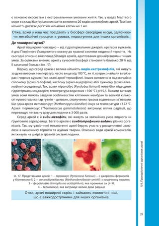39
§9.Прокаріотичніорганізми:археї
є основою екосистем з екстремальними умовами життя. Так, у водах Мертвого
моря в складі бактеріальних матів виявлено 20 видів солелюбних архей. Там їхня
кількість досягає десятків мільйонів клітин на 1 мл.
Отже, археї у наш час посідають у біосфері своєрідне місце, здійснюю-
чи метаболічні процеси в умовах, недоступних для інших організмів.
Де поширені археї?
Археї поширені повсюдно – від гідротермальних джерел, кратерів вулканів,
й дна Північного Льодовитого океану до травної системи людини й термітів. На
сьогодні описано вже понад 50 видів археїв, адаптованих до найрізноманітніших
умов. За оцінками вчених, археї у сучасній біосфері становлять близько 20 % від
її загальної біомаси (іл. 17).
Відомо, що серед архей є велика кількість видів-екстремофілів, які живуть
за дуже високих температур, часто вище від 100 °C, як ті, котрих знайшли в гейзе-
рах і чорних курцях (так звані археї-термофіли). Інших виявлено в надзвичайно
солоному (археї-галофіли), кислому (археї-ацидофіли) або лужному (археї-алка-
лофіли) середовищі. Так, архея піролобус (Pyrolobus fumarii) живе біля підводних
гідротермальних джерел, температура води яких +106 °C і рН 5,5. Вижити за таких
умов вони можуть завдяки особливостям клітинних мембран та великій кілько-
сті нуклеотидних пар гуанін – цитозин, сполучених трьома водневими зв’язками.
Ще одна архея метанопірус (Methanopyrus kandleri) існує за температури +122 °C.
Архея термококус (Thermococcus gammatolerans) витримує вплив радіації, що
перевищує летальну дозу для людини в 3 000 разів.
Серед архей є й види-мезофіли, які живуть за звичайних умов водного чи
ґрунтового середовища. Багато археїв є симбіотрофними видами різних орга-
нізмів. Так, мутуалістичні метаногенні археї беруть участь у розщепленні целю-
лози в кишечнику термітів та жуйних тварин. Описано види архей-коменсалів,
які живуть на шкірі, у травній системі людини.
Іл. 17. Представники архей: 1 – пірококус (Pyrococcus furiosus) – є джерелом ферментів
у біотехнології; 2 – метанобревібактер (Methanobrevibacter smithii) з кишечнику людини;
3 – фероплазма (Ferroplasma acidophilum), яка проживає за рН 0;
4 – термококус, яка витримує великі дози радіації
1 2 43
Отже, археї поширені скрізь і займають екологічні ніші,
що є важкодоступними для інших організмів.
Право для безоплатного розміщення підручника в мережі Інтернет має
Міністерство освіти і науки України http://mon.gov.ua/ та Інститут модернізації змісту освіти https://imzo.gov.ua
 