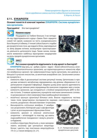 45
Поява еукаріотів є другою за значенням
(після зародження самого життя) подією біологічної еволюції.
В. Мартін, М. Рассел
§ 11.	 ЕУКАРІОТИ
Основні поняття й ключові терміни: ЕУКАРІОТИ. Система еукаріотич­
них організмів.
Пригадайте!	 Хто такі еукаріоти?
	 Новини науки
Нещодавно на глибині близько 3 км непода-
лік від гідротермального курця «Замок Локі» відкрито
новий тип архей, названих на честь скандинавського
бога бешкету й обману. У геномі Lokiarchaeum є подібні
до еукаріотичних гени, що кодують білки, відповідальні
за зміну форми клітини, везикулярне транспортуван-
ня, діяльність цитоскелета тощо. Таким чином, локіар-
хеоти виявилися найбільш вірогідними кандидатами
на роль предків еукаріотичних організмів.
	ЗМІСТ
	 Які ознаки еукаріотів відрізняють їх від архей та бактерій?
ЕУКАРІОТИ (від грец. еу – добре, каріон – ядро) – домен одноклітинних, коло-
ніальних і багатоклітинних організмів, що характеризуються наявністю ядра
та мембранних органел. Це найрізноманітніша група організмів, яка домінує в
більшості сучасних екосистем, за винятком анаеробних зон. Загальними ознака-
ми еукаріотів є:
•	 наявність ядра й досконалішої системи регуляції геному. Цитоплазма із про-
цесами активного метаболізму відокремилась від ділянки збереження й пе-
реписування спадкової інформації. Завдяки цьому різко зросла адаптивність
еукаріотів до змінних умов середовища без внесення спадкових змін у геном;
•	 наявність хромосом, що складаються з лінійної макромолекули ДНК та біл-
ків-гістонів. З появою хромосом у еукаріотів пов’язане виникнення статево-
го розмноження з його можливостями комбінаційної мінливості;
•	 мозаїчний принцип організації білкових генів. Власне кодувальна частина
таких генів представлена послідовністю окремих «змістовних» ділянок  –
екзонів, розділених «беззмістовними» інтронами;
•	 двошаровість клітинних мембран. У мембра-
нах розрізняють біліпідний шар із фосфоліпідів
і різні за розташуванням й функціями білки;
•	 наявність органел із власним генетичним
апаратом – мітохондрій та пластид, що мають
ендосимбіотичне походження і можуть різнити-
ся будовою;
•	 складна структура джгутиків, у яких виокрем-
люють аксонему (дві центральні мікротору-
бочки і дев’ять пар пов’язаних мікротрубочок
«9+2»), а також мемрану (іл. 21).
Іл. 21. Поперечний розріз
еукаріотичних джгутиків
§11.Еукаріоти
Право для безоплатного розміщення підручника в мережі Інтернет має
Міністерство освіти і науки України http://mon.gov.ua/ та Інститут модернізації змісту освіти https://imzo.gov.ua
 