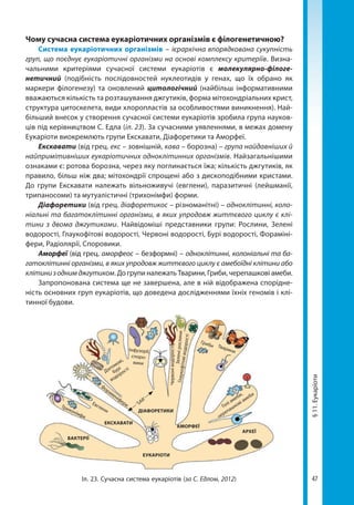 47
§11.Еукаріоти
Чому сучасна система еукаріотичних організмів є філогенетичною?
Система еукаріотичних організмів – ієрархічна впорядкована сукупність
груп, що поєднує еукаріотичні організми на основі комплексу критеріїв. Визна-
чальними критеріями сучасної системи еукаріотів є молекулярно-філоге-
нетичний (подібність послідовностей нуклеотидів у генах, що їх обрано як
маркери філогенезу) та оновлений цитологічний (найбільш інформативними
вважаються кількість та розташування джгутиків, форма мітохондріальних крист,
структура цитоскелета, види хлоропластів за особливостями виникнення). Най-
більший внесок у створення сучасної системи еукаріотів зробила група науков-
ців під керівництвом С. Едла (іл. 23). За сучасними уявленнями, в межах домену
Еукаріоти виокремлють групи Екскавати, Діафоретики та Аморфеї.
Екскавати (від грец. екс – зовнішній, кава – борозна) – група найдавніших й
найпримітивніших еукаріотичних одноклітинних організмів. Найзагальнішими
ознаками є: ротова борозна, через яку поглинається їжа; кількість джгутиків, як
правило, більш ніж два; мітохондрії спрощені або з дископодібними кристами.
До групи Екскавати належать вільноживучі (евглени), паразитичні (лейшманії,
трипаносоми) та мутуалістичні (трихонімфи) форми.
Діафоретики (від грец. діафоретикос – різноманітні) – одноклітинні, коло-
ніальні та багатоклітинні організми, в яких упродовж життєвого циклу є клі-
тини з двома джгутиками. Найвідоміші представники групи: Рослини, Зелені
водорості, Глаукофітові водорості, Червоні водорості, Бурі водорості, Фораміні-
фери, Радіолярії, Споровики.
Аморфеї (від грец. аморфеос – безформні) – одноклітинні, колоніальні та ба-
гатоклітинні організми, в яких упродовж життєвого циклу є амебоїдні клітини або
клітинизоднимджгутиком. До групи належать Тварини, Гриби, черепашкові амеби.
Запропонована система ще не завершена, але в ній відображена спорідне-
ність основних груп еукаріотів, що доведена дослідженнями їхніх геномів і клі-
тинної будови.
БАКТЕРІЇ
ЕУКАРІОТИ
Діатомові,
бурі
водорості
'SAR'
Гриби ТвариниІнфузорії,
споро-
вики
ФораменіфериЕвглени
Трихонімфи
ЕКСКАВАТИ
ДІАФОРЕТИКИ
АРХЕЇ
Голі амеби,
черепашкові амеби
АМОРФЕЇ
Червоніводорості
Глаукофітовіводорості
Зеленірослини
Іл. 23. Сучасна система еукаріотів (за С. Едлом, 2012)
Право для безоплатного розміщення підручника в мережі Інтернет має
Міністерство освіти і науки України http://mon.gov.ua/ та Інститут модернізації змісту освіти https://imzo.gov.ua
 