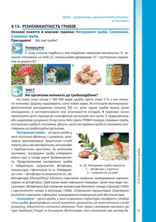 53
Гриби – це організми, що їх вивчають мікологи.
Д. Хоуксворт
§ 13.	 РІЗНОМАНІТНІСТЬ ГРИБІВ
Основні поняття й ключові терміни: Несправжні гриби. Слизовики.
Справжні гриби.
Пригадайте! 	 Хто такі гриби?
	Поміркуйте!
У чому полягає подібність між отруйним червоним мухомором (1), зе-
леною пліснявою на хлібі (2), пекарськими дріжджами (3) і трутовиком справж-
нім на дереві (4)?
1 2 3 4
	ЗМІСТ
	 Які організми належать до грибоподібних?
На Землі існує понад 1 500 000 видів грибів, проте лише 5 % з них описа-
но вченими. Щороку відкривають сотні нових видів. Як показали молекулярно-­
філогенетичні дослідження початку XXI ст., різні групи грибів мають різне
походження, й систематизувати їхнє різноманіття складно. В наукових колах
пропонують різні підходи до класифікації організмів цієї групи. У традиційному,
або широкому, розумінні (Fungi sensu lato) група ГРИБИ поєднує справжні гриби,
несправжні гриби й слизовики. Досить часто несправжні гриби й слизовики роз-
глядають як грибоподібні організми.
Несправжні гриби – це група грибів, у
яких клітинна оболонка з целюлози; запа-
сають міколамінарин, джгутикові стадії
маютьодинабодваджгутики,мітохондрії
з трубчастими кристами. За новітньою
системою, несправжні гриби утворюють
кілька груп у складі групи Хромальвеоля-
ти. Представниками несправжніх грибів
є лабіринтули, сапролегнія, фітофтора,
плазмопара, гіфохитріум та ін. Найвідомі-
ші з них – фітофтора та сапролегнія (іл. 26).
Фітофтора (Phytophthora infestans) спричиняє серйозне захворювання картоплі,
відоме як фітофтороз. Гриб також може інфікувати помідори і деякі інші види пас-
льонових. Фітофтороз був головним винуватцем Великого голоду в Ірландії (1845)
і картопляного голоду в Шотландії (1846). Сапролегнія паразитарна (Saprolegnia
parasitica) спричиняє інфекційне захворювання акваріумних риб або їхньої ікри.
Слизовики – група грибів, у яких спороносні структури нагадують плодові
тіла грибів, фаготрофний спосіб живлення, рухливість на вегетативній стадії
розвитку, відсутність клітинної оболонки. Різні групи слизовиків належать до
груп Амебозої, Різарії та Екскавати. Вегетативне тіло слизовиків має вигляд ба-
Іл. 26. Несправжні гриби-паразити:
1 – фітофтора у картоплі;
2 – сапролегнія на рибі
1 2
§13.Різноманітністьгрибів
Право для безоплатного розміщення підручника в мережі Інтернет має
Міністерство освіти і науки України http://mon.gov.ua/ та Інститут модернізації змісту освіти https://imzo.gov.ua
 