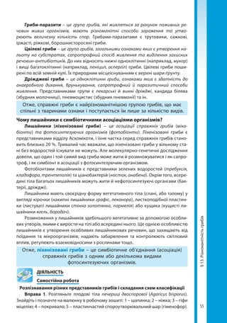 55
§13.Різноманітністьгрибів
Гриби-паразити – це група грибів, які живляться за рахунок поживних ре-
човин живих організмів, мають різноманітні способи зараження та утво-
рюють величезну кількість спор. Грибами-паразитами є трутовики, сажкові,
іржасті, ріжкові, борошнисторосяні гриби.
Цвілеві гриби – це група грибів, загальними ознаками яких є утворення на-
льоту на субстратах, сапротрофний спосіб живлення та виділення захисних
речовин-антибіотиків. До них відносять нижчі одноклітинні (наприклад, мукор)
і вищі багатоклітинні (наприклад, пеніцил, аспергіл) гриби. Цвілеві гриби поши-
рені по всій земній кулі. Їх природним місцеіснуванням є верхні шари ґрунту.
Дріжджеві гриби – це одноклітинні гриби, ознаками яких є здатність до
анаеробного дихання, брунькування, сапротрофний й паразитичний способи
живлення. Представниками групи є пекарські й винні дріжджі, кандида білява
(збудник молочниці), пневмоцистис (збудник пневмонії) та ін.
Отже, справжні гриби є найрізноманітнішою групою грибів, що має
спільні з тваринами ознаки і поступається їм лише за кількістю видів.
Чому лишайники є симбіотичними асоціаціями організмів?
Лишайники (ліхенізовані гриби) – це асоціації справжніх грибів (міко­
біонти) та фотосинтезуючих організмів (фотобіонти). Ліхенізовані гриби є
представниками відділу Аскомікоти, і їхня частка серед справжніх грибів стано-
вить близько 20 %. Тривалий час вважали, що ліхенізовані гриби у вільному ста-
ні без водоростей існувати не можуть. Але молекулярно-генетичні дослідження
довели, що один і той самий вид гриба може жити й розмножуватися і як сапро-
троф, і як симбіонт в асоціації з фотосинтезуючим організмом.
Фотобіонтами лишайників є представники зелених водоростей (требуксія,
кладофора, трентеполія) та ціанобактерій (носток, анабена). Окрім того, всере-
дині тіла багатьох лишайників можуть жити й нефотосинтезуючі організми (бак-
терії, дріжджі).
Лишайники мають своєрідну форму вегетативного тіла (слані, або талому) у
вигляді кірочки (накипні лишайники графіс, леканора), листкоподібної пластин-
ки (листуваті лишайники стінна золотянка, пармелія) або кущика (кущисті ли-
шайники ягель, бородач).
Розмноження у лишайників здебільшого вегетативне за допомогою особли-
вих утворів, якими є вирости на тілі або всередині нього. Ще однією особливі­стю
лишайників є утворення особливих лишайникових речовин, що захищають від
поїдання та мікроорганізмів, надають забарвлення та контролюють світловий
вплив, регулюють взаємовідносини з рослинами тощо.
Отже, ліхенізовані гриби – це симбіотичне об’єднання (асоціація)
справжніх грибів з одним або декількома видами
фотосинтезуючих організмів.
	ДІЯЛЬНІСТЬ
	 Самостійна робота
Розпізнавання різних представників грибів і складання схем класифікації
Вправа 1. Розгляньте плодові тіла печериці двоспорової (Agaricus bisporus).
Знайдіть і позначте на малюнку в робочому зошиті: 1 – шапинка; 2 – ніжка; 3 – гіфи
міцелію; 4 – покривало; 5 – пластинчастий спороутворювальний шар (гіменофор).
Право для безоплатного розміщення підручника в мережі Інтернет має
Міністерство освіти і науки України http://mon.gov.ua/ та Інститут модернізації змісту освіти https://imzo.gov.ua
 