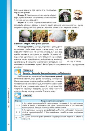 56
Тема1.БІОРІЗНОМАНІТТЯ Які ознаки свідчать про належність печериці до
справжніх грибів?
Вправа 2. Назвіть основні систематичні кате-
горії, що визначають місце печериці двоспорової
у системі органічного світу.
Вправа 3. Зіставте запропоновані на ілюстра-
ціях гриби з їхніми назвами та вкажіть відділ, до якого вони належать: а – синхи-
тріум; б – мукор, або біла цвіль; в – дощовик їстівний; г – зморшок їстівний.
1 2 3 4
Біологія + Історія. Роль грибів у історії
Ріжки пурпурові (Claviceps purpurea) – це вид фіто-
патогенних грибів, який зіграв рокову роль у трагічно
відомому «полюванні на салемських відьом». Цей вид
грибів належить до сумчастих грибів (Аскомікота) і
паразитує здебільшого на житі. Отруєння зерна відбу-
вається через накопичення небезпечного алкалоїду
ерготоксину. В чому суть такої історичної події, як «по-
лювання на салемських відьм»? Як відбувається зараження жита пурпуровими
ріжками?
СТАВЛЕННЯ
Біологія + Екологія. Взаємовідносини грибів і рослин
Найбільшим організмом на Землі є опеньок темний
(Armillaria ostoyae), який росте в лісовому заповіднику
Малур американського штату Орегон. Його вегетативне
тіло займає під землею площу 8,4 км2
і сягає маси у 600 т.
Вік цієї істоти становить вже понад 2 тисячі років. До-
слідження науковців доводять, що цей гриб становить
дуже серйозну загрозу для лісів. Поясніть, чому.
	РЕЗУЛЬТАТ
Оцінка Завдання для самоконтролю
1 – 6
1. Хто такі несправжні гриби? 2. Назвіть ознаки слизовиків. 3. Хто такі справжні
гриби? 4. Назвіть основні екологічні групи справжніх грибів. 5. Хто такі ліхені-
зовані гриби? 6. Наведіть приклади ліхенізованих грибів.
7 – 9
7. Які організми належать до грибоподібних? 8. Які особливості й різнома-
нітність справжніх грибів? 9. Чому лишайники є симбіотичними асоціаціями
організмів?
10 – 12
10. Оцініть значення грибів для таких галузей діяльності людини, як історія та
медицина.
Зал суду. Іл. 1876 р.
Право для безоплатного розміщення підручника в мережі Інтернет має
Міністерство освіти і науки України http://mon.gov.ua/ та Інститут модернізації змісту освіти https://imzo.gov.ua
 