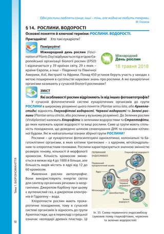 58
Тема1.БІОРІЗНОМАНІТТЯ Одні рослини люблять сонце, інші – тінь, але жодна не любить темряви.
М. Глазков
§ 14.	 РОСЛИНИ. ВОДОРОСТІ
Основні поняття й ключові терміни: РОСЛИНИ. ВОДОРОСТІ.
Пригадайте!	 Хто такі еукаріоти?
	Поміркуйте!
Міжнародний день рослин (Fasci­
nationofPlantsDay) відбувається під егідою Єв-
ропейської організації біології рослин (EPSO)
і відзначається у 39 країнах світу, 29 з яких –
країни Європи, а інші – Південної та Північної
Америки, Азії, Австралії та Африки. Пoнад 450 установ беруть участь у заходах з
метою поширення в суспільстві наукових знань про рослини. А які еукаріотичні
організми називають у сучасній біології рослинами?
	ЗМІСТ
	 Які особливості рослин відрізняють їх від інших фотоавтотрофів?
У сучасній філогенетичній системі еукаріотичних організмів до групи
РОСЛИНИ в широкому розумінні цього поняття (Plantae sensu lato, або Архепла­
стиди) відносять Глаукофітові водорості, Червоні водорості та Зелені рос-
лини (Plantae sensu stricto, або рослини у вузькому розумінні). До Зелених рослин
(Viridiplantae) належать Хлорофіти із зеленими водоростями та Стрептофіти,
до яких належать харові водорості та вищі рослини. Саме ці групи мають спіль-
ність походження, що доведено шляхом секвенування ДНК та ознаками клітин-
ної будови. Які ж найзагальніші ознаки збірної групи РОСЛИНИ?
Рослини – це еукаріотичні фотосинтезуючі одноклітинні, колоніальні та ба-
гатоклітинні організми, в яких клітини тригеномні – з ядерним, мітохондріаль-
ним та хлоропластним геномами. Рослини характеризуються значною змінністю
розмірів геному, кількості й морфології
хромосом. Кількість хромосом зміню-
ється в межах від 4 до 1000 й більше, але
більшість видів містить в ядрі від 12 до
60 хромосом.
Живлення рослин автотрофне.
Вони використовують енергію світла
для синтезу органічних речовин із неор-
ганічних. Джерелом Карбону при цьому
є вуглекислий газ, а джерелом електро-
нів й Гідрогену – вода.
Хлоропласти рослин мають прока-
ріотичне походження, тому в сучасній
системі організмів їх відносять до групи
Архепластиди, що в перекладі з гре­цької
означає «володарі древніх пластид». Ці
Іл. 35. Схема первинного ендосимбіозу
(зумовив появу глаукофітових, червоних
та зелених водоростей)
Глаукофітові водорості
Червоні
водорості
Зелені
водорості
Мітохондрія
Ядро
Ціанобактерія
ПЕРВИННИЙ
ЕНДОСИМБІОЗ
Первинний
еукаріотичний хазяїн
Пластида
Право для безоплатного розміщення підручника в мережі Інтернет має
Міністерство освіти і науки України http://mon.gov.ua/ та Інститут модернізації змісту освіти https://imzo.gov.ua
 