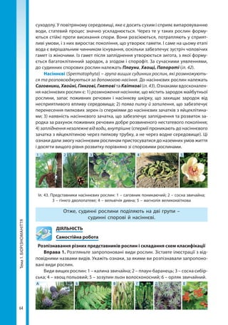 64
Тема1.БІОРІЗНОМАНІТТЯ суходолу. У повітряному середовищі, яке є досить сухим і сприяє випаровуванню
води, статевий процес значно ускладнюється. Через те у таких рослин форму-
ються стійкі проти висихання спори. Вони розсіюються, потрапляють у сприят-
ливі умови, і з них виростає покоління, що утворює гамети. І саме на цьому етапі
вода є вирішальним чинником існування, оскільки забезпечує зустріч чоловічих
гамет із жіночими. Із гамет після запліднення утворюється зигота, з якої форму-
ється багатоклітинний зародок, а згодом і спорофіт. За сучасними уявленнями,
до судинних спорових рослин належать Плауни, Хвощі, Папороті (іл. 42).
Насіннєві (Spermatophyta) – група вищих судинних рослин, які розмножують-
ся та розповсюджуються за допомогою насіння. До насіннєвих рослин належать
Саговники, Хвойні, Гінкгові, Гнетові та Квіткові (іл. 43). Ознаками вдосконален-
ня насіннєвих рослин є: 1) розмноження насінням, що містить зародок майбутньої
рослини, запас поживних речовин і насіннєву шкірку, що захищає зародок від
несприятливого впливу середовища; 2) поява пилку й запилення, що забезпечує
перенесення пилкових зерен із сперміями до насіннєвих зачатків з яйцеклітина-
ми; 3) наявність насіннєвого зачатка, що забезпечує запліднення та розвиток за-
родка за рахунок поживних речовин добре розвиненого нестатевого покоління;
4) запліднення незалежне від води, внутрішнє (спермії проникають до насіннєвого
зачатка з яйцеклітиною через пилкову трубку, а не через водне середовище). Ці
ознаки дали змогу насіннєвим рослинам пристосуватися до наземних умов життя
і досягти вищого рівня розвитку порівняно зі споровими рослинами.
Іл. 43. Представники насіннєвих рослин: 1 – саговник поникаючий; 2 – сосна звичайна;
3 – гінкго дволопатеве; 4 – вельвічія дивна; 5 – магнолія великоквіткова
1 2 3 4 5
Отже, судинні рослини поділяють на дві групи –
судинні спорові й насіннєві.
	ДІЯЛЬНІСТЬ
	 Самостійна робота
Розпізнавання різних представників рослин і складання схем класифікації
Вправа 1. Розгляньте запропоновані види рослин. Зіставте ілюстрації з від-
повідними назвами видів. Укажіть ознаки, за якими ви розпізнавали запропоно-
вані види рослин.
Види вищих рослин: 1 – калина звичайна; 2 – плаун-баранець; 3 – сосна сибір-
ська; 4 – хвощ польовий; 5 – зозулин льон волосконосний; 6 – орляк звичайний.
А Б В Г Д Е
Право для безоплатного розміщення підручника в мережі Інтернет має
Міністерство освіти і науки України http://mon.gov.ua/ та Інститут модернізації змісту освіти https://imzo.gov.ua
 