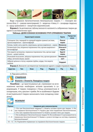 73
§17.Багатоклітиннітварини
Види справжніх багатоклітинних білатеральних тварин: 1 – планарія мо-
лочно-біла; 2 – равлик виноградний; 3 – медична п’явка; 4 – аскарида людська;
5 – хрущ травневий; 6 – ланцетник європейський.
Вправа 2. За допомогою таблиці визначте належність зображених тварин до
однієї із систематичних груп.
Таблиця. ДЕЯКІ ОЗНАКИ ОСНОВНИХ ГРУП СПРАВЖНІХ ТВАРИН
Характерні ознаки Група
Представ­
ники
Сплощене тіло, передній та середній відділи травної системи,
органи виділення – протонефридії
Плоскі
черви
Голова, тулуб, нога, мантія, черепашка, органи виділення – нирки Молюски
Сегментація тіла, вторинна порожнина тіла, органи виділення –
метанефридії
Кільчасті
черви
Тіло вкрите кутикулою, первинна порожнина тіла, органи виді-
лення – шкірні залози
Круглі
черви
Хітиновий екзоскелет, змішана порожнина тіла, органи дихання –
зябра, легеневі мішки, трахеї
Членисто­
ногі
Зяброві щілини в глотці, нервова трубка, хорда, тіло вкрите
шкірою
Хордові
Вправа 3. Визначте систематичне положення одного з видів справжніх тварин.
Царство Тип Клас Ряд Родина Рід Вид
4. Підсумок роботи.
СТАВЛЕННЯ
Біологія + Етологія. Поведінка тварин
Поведінка – це пристосувальні дії, спрямовані на вста-
новлення життєво необхідних зв’язків організмів із се-
редовищем. У тварин поведінка є більш різноманітною й
складнішою, ніж у рослин і грибів. Які ж особливості будови
й життєдіяльності тварин визначають їхню складнішу пове-
дінку?
	РЕЗУЛЬТАТ
Оцінка Завдання для самоконтролю
1 – 6
1. Хто такі багатоклітинні тварини? 2. Назвіть основні групи цих тварин. 3. Хто
такі первинні багатоклітинні? 4. Назвіть два типи первинних багатоклітинних.
5. Хто такі справжні багатоклітинні? 6. Назвіть основні типи цих тварин.
7 – 9
7. Які особливості багатоклітинних тварин? 8. Які особливості та різноманітність
первинних багатоклітинних? 9. Якими є сучасні погляди на систему справж­ніх
багатоклітинних?
10 – 12 10. Порівняйте первинних та справжніх багатоклітинних тварин.
А Б В Г Д Е
Право для безоплатного розміщення підручника в мережі Інтернет має
Міністерство освіти і науки України http://mon.gov.ua/ та Інститут модернізації змісту освіти https://imzo.gov.ua
 