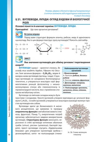 Тема2.ОБМІНРЕЧОВИНІПЕРЕТВОРЕННЯЕНЕРГІЇ
88
Розміри, форма й біологічні функції макромолекул
й клітин залежать від структурних компонентів.
Альберт Ленінджер
§ 21.	 ВУГЛЕВОДИ, ЛІПІДИ: ОГЛЯД БУДОВИ Й БІОЛОГІЧНОЇ
РОЛІ
Основні поняття й ключові терміни: ВУГЛЕВОДИ. ЛІПІДИ.
Пригадайте! 	 Що таке органічні речовини?
	 Вступна вправа
Перед вами структурні формули аланіну, рибози, жиру й аденілового
нуклеотиду. Яка із цих формул ілюструє групу вуглеводів? Поясніть свій вибір.
СH3 C COOH
NH2
H
OН
OН
1
23
4
5
Н
Н
НН
Н
O
H2COH
OН
HO
OН
P
O
O
O
O
H2N
N
N
NN
СH2 – O – CO – R
СH2 – O – CO – R`
СH2 – O – CO – R``
	ЗМІСТ
	 Яке значення вуглеводів для обміну речовин і перетворення
енергії?
ВУГЛЕВОДИ (цукри) – органічні сполуки, до
складу яких входять Карбон, Гідроген та Окси-
ген. Їхня загальна формула – Сn(Н2nО)n, звідки й
вихідна назва вуглеводів (вуглець і вода). Струк-
тура вуглеводів не закодована безпосередньо
генетично, а утворюється внаслідок серії фер-
ментативних реакцій фотосинтезу з низько-
молекулярних сполук або глюконеогенезу із
піровиноградної кислоти, яка є проміжною спо-
лукою метаболізму клітин.
Вуглеводи за хімічним складом можуть бути
простими і складними. Прості вуглеводи утворені відповідно до загальної фор-
мули Сn(Н2О)n . Складні вуглеводи утворюються внаслідок взаємодії молекул про-
стих вуглеводів між собою.
Вуглеводи здатні до безкисневого й кисне-
вого розщеплення, що зумовлює їх провідну
енергетичну функцію в метаболізмі живого (глю-
коза, фруктоза). Понад 2/3 енергетичних потреб
організму забезпечується завдяки використанню
вуглеводів. Структурну функцію виконують не-
розчинні й стійкі вуглеводи клітинних оболонок
грибів (хітин), рослин (целюлоза), бактерій (му-
реїн), прості вуглеводи слугують «будівельними
блоками» для утворення нуклеотидів (рибоза і
дезоксирибоза), оліго- чи полісахаридів (глюко-
Найпоширеніші вуглеводи
організмів
І. Моносахариди:
А. Пентози: рибоза, дезокси-
рибоза
Б. Гексози: глюкоза, фруктоза
ІІ. Дисахариди: сахароза,
лактоза, мальтоза
ІІІ. Полісахариди: крохмаль,
целюлоза, хітин, глікоген,
пектини
Іл. 58. Схема молекули
глікогену
Право для безоплатного розміщення підручника в мережі Інтернет має
Міністерство освіти і науки України http://mon.gov.ua/ та Інститут модернізації змісту освіти https://imzo.gov.ua
 