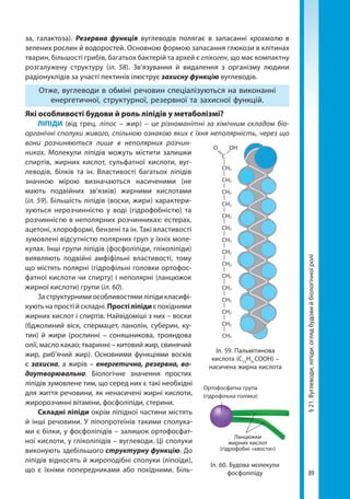 89
§21.Вуглеводи,ліпіди:оглядбудовийбіологічноїролі
за, галактоза). Резервна функція вуглеводів полягає в запасанні крохмалю в
зелених рослин й водоростей. Основною формою запасання глюкози в клітинах
тварин, більшості грибів, багатьох бактерій та архей є глікоген, що має компактну
розгалужену структуру (іл. 58). Зв’язування й видалення з організму людини
радіонуклідів за участі пектинів ілюструє захисну функцію вуглеводів.
Отже, вуглеводи в обміні речовин спеціалізуються на виконанні
енергетичної, структурної, резервної та захисної функцій.
Які особливості будови й роль ліпідів у метаболізмі?
ЛІПІДИ (від грец. ліпос – жир) – це різноманітні за хімічним складом біо-
органічні сполуки живого, спільною ознакою яких є їхня неполярність, через що
вони розчиняються лише в неполярних розчин-
никах. Молекули ліпідів можуть містити залишки
спиртів, жирних кислот, сульфатної кислоти, вуг-
леводів, білків та ін. Властивості багатьох ліпідів
значною мірою визначаються насиченими (не
мають подвійних зв’язків) жирними кислотами
(іл. 59). Більшість ліпідів (воски, жири) характери-
зуються нерозчинністю у воді (гідрофобністю) та
розчинністю в неполярних розчинниках: естерах,
ацетоні, хлороформі, бензені та ін. Такі властивості
зумовлені відсутністю полярних груп у їхніх моле-
кулах. Інші групи ліпідів (фосфоліпіди, гліколіпіди)
виявляють подвійні амфіфільні властивості, тому
що містять полярні (гідрофільні головки ортофос-
фатної кислоти чи спирту) і неполярні (ланцюжок
жирної кислоти) групи (іл. 60).
За структурними особливостями ліпіди класифі-
куютьнапростійскладні.Простіліпідиєпохідними
жирних кислот і спиртів. Найвідоміші з них – воски
(бджолиний віск, спермацет, ланолін, суберин, ку-
тин) й жири (рослинні – соняшникова, трояндова
олії, масло какао; тваринні – китовий жир, свинячий
жир, риб’ячий жир). Основними функціями восків
є захисна, а жирів – енергетична, резервна, во-
доутворювальна. Біологічне значення простих
ліпідів зумовлене тим, що серед них є такі необхідні
для життя речовини, як ненасичені жирні кислоти,
жиророзчинні вітаміни, фосфоліпіди, стерини.
Складні ліпіди окрім ліпідної частини містять
й інші речовини. У ліпопротеїнів такими сполука-
ми є білки, у фосфоліпідів – залишок ортофосфат-
ної кислоти, у гліколіпідів – вуглеводи. Ці сполуки
виконують здебільшого структурну функцію. До
ліпідів відносять й жироподібні сполуки (ліпоїди),
що є їхніми попередниками або похідними. Біль-
Ортофосфатна група
(гідрофільна голівка)
Ланцюжки
жирних кислот
(гідрофобні «хвости»)
Іл. 60. Будова молекули
фосфоліпіду
Іл. 59. Пальмітинова
кислота (С15
Н31
СООН) –
насичена жирна кислота
СH2
СH2
СH2
СH2
СH2
СH2
СH2
СH2
СH2
СH2
СH2
СH3
СH2
СH2
СH3
С
О ОН
Право для безоплатного розміщення підручника в мережі Інтернет має
Міністерство освіти і науки України http://mon.gov.ua/ та Інститут модернізації змісту освіти https://imzo.gov.ua
 