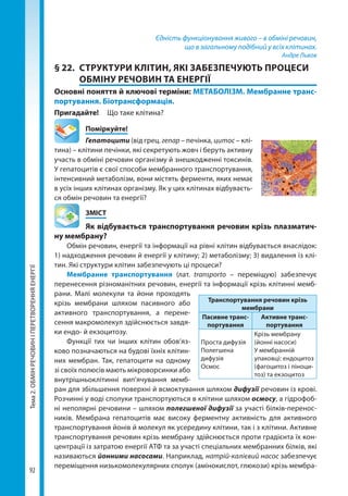 Тема2.ОБМІНРЕЧОВИНІПЕРЕТВОРЕННЯЕНЕРГІЇ
92
Єдність функціонування живого – в обміні речовин,
що в загальному подібний у всіх клітинах.
Андре Львов
§ 22.	 СТРУКТУРИ КЛІТИН, ЯКІ ЗАБЕЗПЕЧУЮТЬ ПРОЦЕСИ
ОБМІНУ РЕЧОВИН ТА ЕНЕРГІЇ
Основні поняття й ключові терміни: МЕТАБОЛІЗМ. Мембранне транс­
портування. Біотрансформація.
Пригадайте! 	 Що таке клітина?
	Поміркуйте!
Гепатоцити (від грец. гепар – печінка, цитос – клі-
тина) – клітини печінки, які секретують жовч і беруть активну
участь в обміні речовин організму й знешкодженні токсинів.
У гепатоцитів є свої способи мембранного транспортування,
інтенсивний метаболізм, вони містять ферменти, яких немає
в усіх інших клітинах організму. Як у цих клітинах відбуваєть-
ся обмін речовин та енергії?
	ЗМІСТ
	 Як відбувається транспортування речовин крізь плазматич­
ну мембрану?
Обмін речовин, енергії та інформації на рівні клітин відбувається внаслідок:
1) надходження речовин й енергії у клітину; 2) метаболізму; 3) видалення із клі-
тин. Які структури клітин забезпечують ці процеси?
Мембранне транспортування (лат. transporto – переміщую) забезпечує
перенесення різноманітних речовин, енергії та інформації крізь клітинні мемб-
рани. Малі молекули та йони проходять
крізь мембрани шляхом пасивного або
активного транспортування, а перене-
сення макромолекул здійснюється завдя-
ки ендо- й екзоцитозу.
Функції тих чи інших клітин обов’яз-
ково позначаються на будові їхніх клітин-
них мембран. Так, гепатоцити на одному
зі своїх полюсів мають мікроворсинки або
внутрішньоклітинні вип’ячування мемб-
ран для збільшення поверхні й всмоктування шляхом дифузії речовин із крові.
Розчинні у воді сполуки транспортуються в клітини шляхом осмосу, а гідрофоб-
ні неполярні речовини – шляхом полегшеної дифузії за участі білків-перенос-
ників. Мембрана гепатоцитів має високу ферментну активність для активного
транспортування йонів й молекул як усередину клітини, так і з клітини. Активне
транспортування речовин крізь мембрану здійснюється проти градієнта їх кон-
центрації із затратою енергії АТФ та за участі спеціальних мембранних білків, які
називаються йонними насосами. Наприклад, натрій-калієвий насос забезпечує
переміщення низькомолекулярних сполук (амінокислот, глюкози) крізь мембра-
Транспортування речовин крізь
мембрани
Пасивне транс­
портування
Активне транс­
портування
Проста дифузія
Полегшена
дифузія
Осмос
Крізь мембрану
(йонні насоси)
У мембранній
упаковці: ендоцитоз
(фагоцитоз і піноци-
тоз) та екзоцитоз
Право для безоплатного розміщення підручника в мережі Інтернет має
Міністерство освіти і науки України http://mon.gov.ua/ та Інститут модернізації змісту освіти https://imzo.gov.ua
 