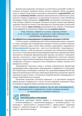 Тема2.ОБМІНРЕЧОВИНІПЕРЕТВОРЕННЯЕНЕРГІЇ
94
Важливу роль відіграють гепатоцити в синтезі білків, вуглеводів і ліпідів. Ге-
патоцити синтезують альбуміни, більшу частину глобулінів і білків, що беруть
участь у зсіданні крові. Білки в гепатоцитах синтезуються в шорсткій ЕПС, над-
ходять до комплексу Ґольджі, набувають функціональних особливостей, упако-
вуються в міхурці й виділяються за допомогою екзоцитозу в кров. Метаболізм
вуглеводів й ліпідів пов’язаний з гладкою ЕПС, яка розсіяна в цитоплазмі у ви-
гляді цистерн, трубочок й міхурців. Гепатоцити під дією інсуліну перетворюють
надлишок глюкози на глікоген, який відкладається у вигляді зерен у цитоплазмі.
За нестачі глюкози зерна глікогену розщеплюються до глюкози. У гепатоцитах
також відбувається накопичення лідідів у вигляді жирових краплин.
Отже, кількість, наявність та участь структур клітини
в тих чи інших процесах визначається саме особливостями
метаболізму та функціями клітин.
Як відбувається знешкодження та виділення речовин із клітин?
У клітину разом з необхідними для її життя речовинами можуть потрапля-
ти ззовні чужорідні або утворюватися всередині токсичні речовини (амоніак,
гідроген пероксид, індол, скатол). Вони зазнають перетворень і видаляються.
Біотрансформація (від грец. bios – життя, лат. transformatio – перетворення) –
біо­хімічні процеси, в ході яких речовини зазнають змін під дією різних фермен-
тів клітин. У ході першої фази біотрансформації молекула шкідливої речовини
збагачується полярними функціональними групами, що робить її реакційно-
здатною і розчинною у воді. У другій фазі відбуваються синтетичні процеси
поєднання з ендогенними молекулами (наприклад, з глюкуроновою кислотою,
сульфатами, гліцином), у результаті чого утворюються полярні сполуки, які й
виводяться з клітин.
Знешкодження токсичних сполук у клітинах забезпечується ферментами
оксидоредуктазами, гідролазами, пероксидазами та відбувається в цитоплазмі,
ЕПС, мікротільцях, мітохондріях, лізосомах. Так, за допомогою ферментів ЕПС від-
бувається детоксикація алкоголю, пероксидаза мікротілець розщеплює гідроген
пероксид на воду й кисень. У гепатоцитах отруйний амоніак знешкоджується в
процесі перетворення на сечовину.
Основними процесами клітинного виділення є: а) розчинення продуктів
обміну речовин й видалення їх з клітин за участі вакуолей, залишкових тілець;
б) ізолювання продуктів обміну у вигляді клітинних включень.
Отже, у клітинах відбуваються процеси, під час яких знешкоджуються,
перетворюються й видаляються назовні шкідливі речовини
та підтримується клітинний гомеостаз.
	ДІЯЛЬНІСТЬ
	 Самостійна робота з ілюстрацією
Розгляньте ілюстрацію клітини людини із позначеними структурами:
1 – клітинна мембрана; 2 – піноцитозний міхурець; 3 – клітинний центр; 4 – гіа-
лоплазма; 5 – зерниста ЕПС; 6 – незерниста ЕПС; 7 – ядерні пори; 8 – секреторні
міхурці; 9 – комплекс Гольджі; 10 – мітохондрія; 11 – ядро; 12 – ядерце; 13 – лізо-
соми; 14 – фагоцитозні міхурці.
Право для безоплатного розміщення підручника в мережі Інтернет має
Міністерство освіти і науки України http://mon.gov.ua/ та Інститут модернізації змісту освіти https://imzo.gov.ua
 