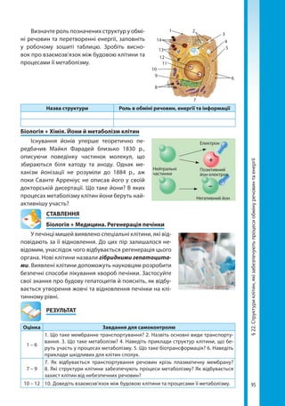95
§22.Структуриклітин,якізабезпечуютьпроцесиобмінуречовинтаенергії
Визначте роль позначених структур у обмі-
ні речовин та перетворенні енергії, заповніть
у робочому зошиті таблицю. Зробіть висно-
вок про взаємозв’язок між будовою клітини та
процесами її метаболізму.
Назва структури Роль в обміні речовин, енергії та інформації
Біологія + Хімія. Йони й метаболізм клітин
Існування йонів уперше теоретично пе-
редбачив Майкл Фарадей близько 1830 р.,
описуючи поведінку частинок молекул, що
збираються біля катоду та аноду. Однак ме-
ханізм йонізації не розуміли до 1884 р., аж
поки Сванте Арреніус не описав його у своїй
докторській дисертації. Що таке йони? В яких
процесах метаболізму клітин йони беруть най-
активнішу участь?
СТАВЛЕННЯ
Біологія + Медицина. Регенерація печінки
У печінці мишей виявлено спеціальні клітини, які від-
повідають за її відновлення. До цих пір залишалося не-
відомим, унаслідок чого відбувається регенерація цього
органа. Нові клітини назвали гібридними гепатоцита-
ми. Виявлені клітини допоможуть науковцям розробити
безпечні способи лікування хвороб печінки. Застосуйте
свої знання про будову гепатоцитів й поясніть, як відбу-
вається утворення жовчі та відновлення печінки на клі-
тинному рівні.
	РЕЗУЛЬТАТ
Оцінка Завдання для самоконтролю
1 – 6
1. Що таке мембранне транспортування? 2. Назвіть основні види транспорту-
вання. 3. Що таке метаболізм? 4. Наведіть приклади структур клітини, що бе-
руть участь у процесах метаболізму. 5. Що таке біотрансформація? 6. Наведіть
приклади шкідливих для клітин сполук.
7 – 9
7. Як відбувається транспортування речовин крізь плазматичну мембрану?
8. Які структури клітини забезпечують процеси метаболізму? Як відбувається
захист клітин від небезпечних речовин?
10 – 12 10. Доведіть взаємозв’язок між будовою клітини та процесами її метаболізму.
1 2
3
4
5
6
7
8
9
10
11
12
13
14
Нейтральні
частинки
Електрон –
+
–
Позитивний
йон електрон
Негативний йон
–
Право для безоплатного розміщення підручника в мережі Інтернет має
Міністерство освіти і науки України http://mon.gov.ua/ та Інститут модернізації змісту освіти https://imzo.gov.ua
 