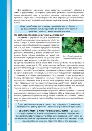 Тема2.ОБМІНРЕЧОВИНІПЕРЕТВОРЕННЯЕНЕРГІЇ
98
Для катаболізму автотрофів також характерні особливості, пов’язані з
хемо- й фотосинтезом. Автотрофні організми в реакціях катаболізму розщеп­
люють синтезовані ними ж органічні речовини (найчастіше глюкозу або
крохмаль). Окрім того, АТФ синтезується не лише в процесі дихання після окис-
нення глюкози, а й під час світлової фази фотосинтезу завдяки фотофосфорилю-
ванню.
Отже, метаболізм автотрофних організмів має особливості,
що визначаються їхньою здатністю до первинного синтезу
органічних сполук з неорганічних речовин.
Які особливості виділення речовин у автотрофів?
Екскреція – сукупність процесів, спрямованих
на виведення невикористаних продуктів обміну ре-
човин й енергії, а також чужорідних і шкідливих для
клітини сполук. Особливостями екскреції у автотро-
фів є те, що вони – первинні продуценти і синте-
зують в необхідній кількості усі потрібні органічні
речовини. Наприклад, у рослин синтезується лише
стільки білків, скільки необхідно на даний час.
Вони ніколи не утворюють білків у надлишку і тому
виділяють дуже мало нітрогеновмісних відходів –
продуктів розщеплення білків. Окрім того, кінцеві продукти обміну речовин у
автотрофних організмів (О2, СО2, вода) слугують вихідними сполуками для інших
реакцій. Наприклад, у рослин СО2 використовується в темновій фазі фотосинтезу,
а вода – в світловій. Спе­ціалізованих органів екскреції у автотрофів немає, однак
продукти виділення в них можуть накопичуватися та видалятися в середовище
з тканинами й органами, що відмирають. Так, у зелених рослин відходи мета-
болізму відкладаються у відмерлих тканинах, у листках чи корі, що періодично
видаляються. Виділення води у вигляді пари відбувається під час транспірації
через продихи, сочевички, видалення надлишку води (гутація – від лат. gutta –
крапля) – через водяні продихи (гідатоди) тощо. Вода випаровується через усі
частини рослини та найінтенсивніше це здійснюють листки (іл. 64).
Своєрідним способом виділення є внутрішньоклітинне виділення та ізоляція
переведених у важкорозчинну форму продуктів обміну. Наприклад, органічні
кислоти, що можуть спричинити шкоду клітині, зв’язуються з катіонами і відкла-
даються у вигляді кристалів у цитоплазмі (наприклад, включення з кальцій окса-
лату в щавлю).
Отже, виділення речовин у процесі життєдіяльності є важливим
компонентом обміну речовин і гомеостазу рослинного організму.
ОБМІН РЕЧОВИН У АВТОТРОФНИХ ОРГАНІЗМІВ – це обмін,
що характеризується надходженням неорганічних речовин, які є
джерелом Карбону, Гідрогену й Нітрогену, переважанням у клітинах
анаболічних реакцій, первинним синтезом власних органічних сполук
і використанням кінцевих продуктів обміну для реакцій.
Іл. 64. Гутація на листках
приворотня блискучого
Право для безоплатного розміщення підручника в мережі Інтернет має
Міністерство освіти і науки України http://mon.gov.ua/ та Інститут модернізації змісту освіти https://imzo.gov.ua
 