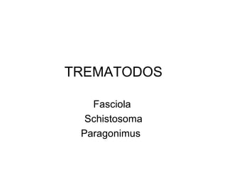 TREMATODOS
Fasciola
Schistosoma
Paragonimus
 