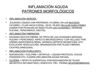 INFLAMACIÓN AGUDA
PATRONES MORFOLÓGICOS
• INFLAMACIÓN SEROSA
• EXUDADO LÍQUIDO CON PROTEINAS ( PLASMA). EN LAS MUCOSAS
CATARRO = FLUIR HACIA FUERA) . EN EL TEJIDO CELULAR SUBCUTÁNEO
(HABÓN POR PICADURA DE INSECTO).EN LAS CAVIDADES ( DERRAME
PLEURAL, PERICÁRDICO, ASCITIS).
• INFLAMACIÓN FIBRINOSA
• EXUDADO RICO EN FIBRINA. ES TÍPICA DE LAS CAVIDADES SEROSAS:
PLEURA Y PERICARDIO. ASPECTO MACROSCÓPICO “COR VELLOSO” POR
UREMIA (INSIFICIENCIA RENAL CRÓNICA) ARTRITIS REUMATOIDE..ETC.
EVOLUCIÓN: RESOLUCCIÓN. ORGANIZACIÓN POR TEJIDO FIBROSO-
CICATRIZ (SINEQUIAS).
• INFLAMACIÓN PURULENTA
• SUPURACIÓN = PUS (PMN + DETRITUS + LÍQUIDO PROTEICO). COCOS
PIÓGENOS ETC. FLEMÓN (INFLAMACIÓN AGUDA DIFUSA).
• ULCERA = DEFECTO SUPERFICIAL POR DESCAMACIÓN DE TEJIDO
NECRÓTICO INFLAMATORIO.( DIGESTIVO, PIEL PIERNA).SEUDOMEMBRANAS
 