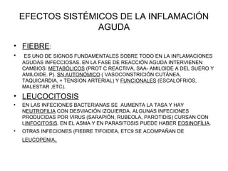 EFECTOS SISTÉMICOS DE LA INFLAMACIÓN
AGUDA
• FIEBRE:
• ES UNO DE SIGNOS FUNDAMENTALES SOBRE TODO EN LA INFLAMACIONES
AGUDAS INFECCIOSAS. EN LA FASE DE REACCIÓN AGUDA INTERVIENEN
CAMBIOS: METABÓLICOS (PROT C REACTIVA, SAA- AMILOIDE A DEL SUERO Y
AMILOIDE. P). SN AUTONÓMICO ( VASOCONSTRICIÓN CUTÁNEA,
TAQUICARDIA, + TENSÍON ARTERIAL) Y FUNCIONALES (ESCALOFRIOS,
MALESTAR ,ETC).
• LEUCOCITOSIS
• EN LAS INFECIONES BACTERIANAS SE AUMENTA LA TASA Y HAY
NEUTROFILIA CON DESVIACIÓN IZQUIERDA. ALGUNAS INFECIONES
PRODUCIDAS POR VIRUS (SARAPIÓN, RUBEOLA, PAROTIDIS) CURSAN CON
LINFOCITOSIS. EN EL ASMA Y EN PARASITOSIS PUEDE HABER EOSINOFÍLIA.
• OTRAS INFECIONES (FIEBRE TIFOIDEA, ETC9 SE ACOMPAÑAN DE
LEUCOPENIA.
 