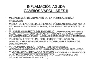 INFLAMACIÓN AGUDA
CAMBIOS VASCULARES II
• MECANISMOS DE AUMENTO DE LA PERMEABILIDAD
VASCULAR
• 1º.-HIATOS ENDOTELIALES EN LAS VÉNULAS: MEDIADOS POR LA
HISTAMINA Y LEUCOTRIENOS. RÁPIDA, REVERSIBLE Y DE VIDA CORTA (15-
30´).
• 2º.-AGRESIÓN DIRECTA DEL ENDOTELIO: QUEMADURAS, BACTERIAS
NECROTIZANTES. AFECTA VÉNULAS, ARTERIOLAS Y CAPILARES. RÁPIDA
DURA HORAS O DÍAS. PUEDE HABER ADESIÓN PLAQUETARIA Y TROMBOSIS.
• 3º.-LESIÓN ENDOTELIAL POR LEUCOCITOS : SE DA EN
VÉNULAS, ,CAPILARES PULMONARES Y GLOMERULARES. TARDÍA Y DE
LARGA DURACIÓN.
• 4º.- AUMENTO DE LA TRANSCITOSIS: ORGANELAS
VESICOVACUOLARES CERCA DE LAS UNIONES INTERCELULARES. (VEGF)
• 5º.-FORMACIÓN DE VASOS NUEVOS: ANGIOGÉNESIS, AUMENTO DE
LA PERMEABILIDADQUE PERSISTE HASTA LA MADURACIÓN DES LAS
CÉLULAS ENDOTELIALES. (VEGF ETC..)
 