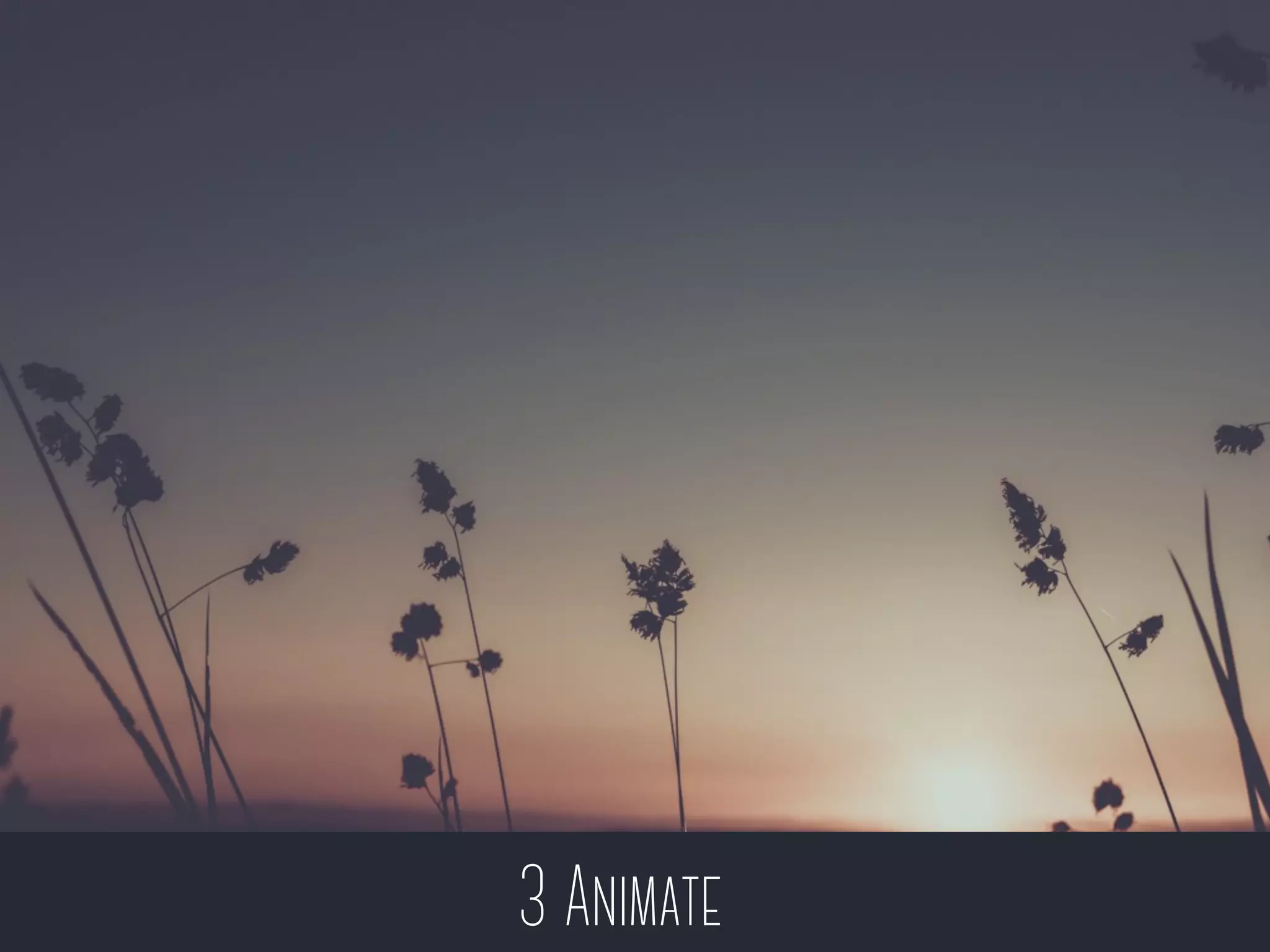 3 Animate
 