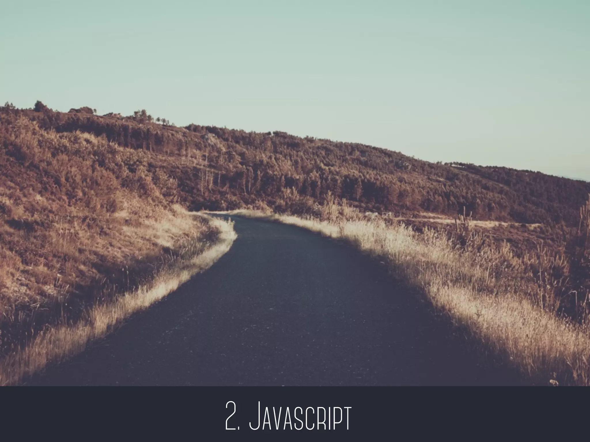 2. Javascript
 