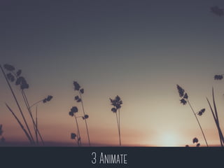 3 Animate
 