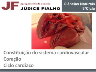 Ciências Naturais
3ºCiclo
Constituição do sistema cardiovascular
Coração
Ciclo cardíaco
 