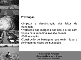 Prevenção:

•Limpeza  e  desobstrução  dos  leitos  de 
inundação
•Protecção das margens dos rios e a foz com 
diques para impedir a invasão do mar
•Reflorestação
•Construção  de  barragens  que  retêm  água  e 
diminuem os riscos de inundação



                Catástrofes Naturais
             Ciências Naturais – 8º ano
              Maria João Drumond / janeiro 2012
 