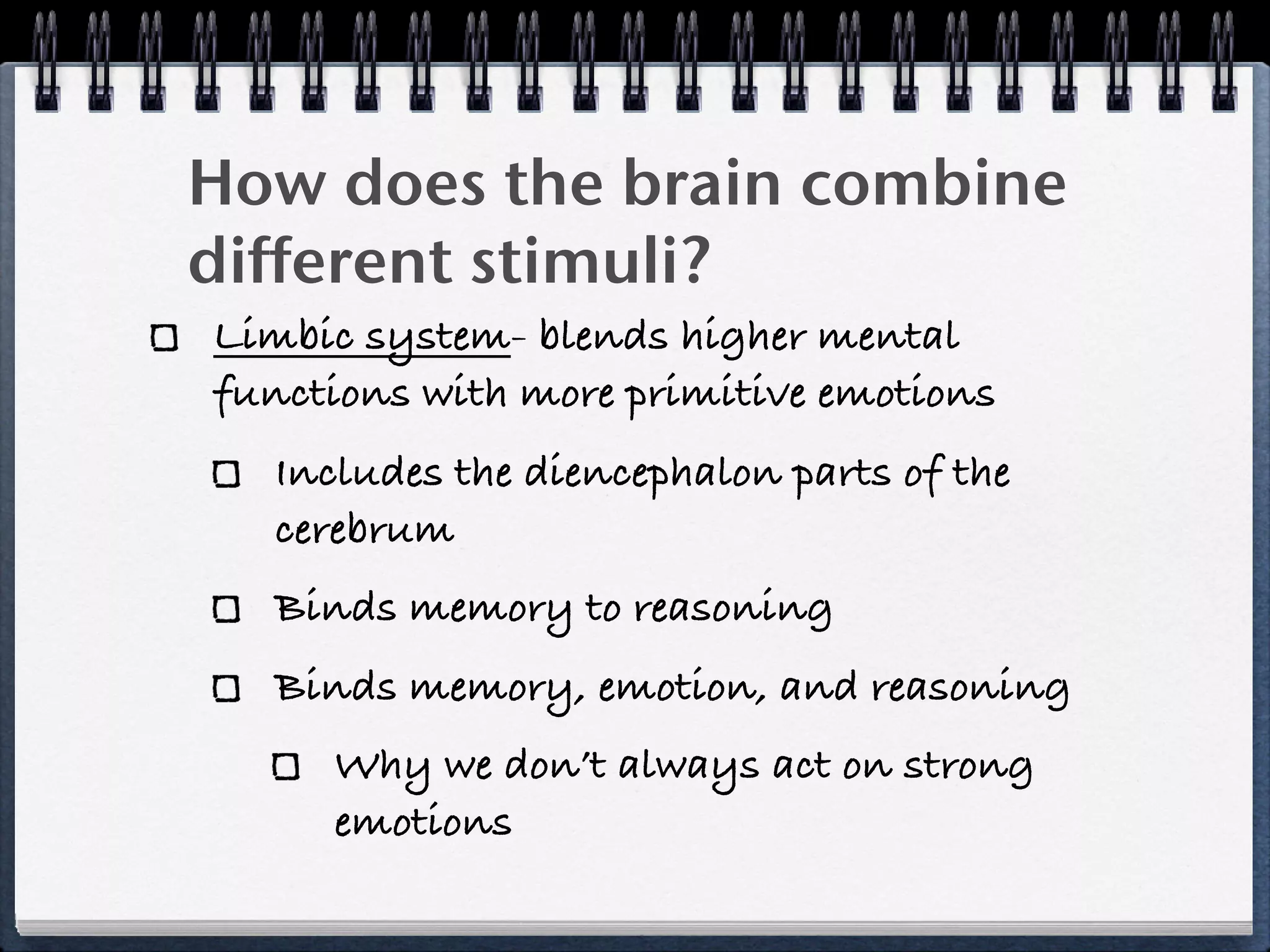 How does the brain combine
different stimuli?
Limbic system- blends higher mental
functions with more primitive emotions
  Includes the diencephalon parts of the
  cerebrum
  Binds memory to reasoning
  Binds memory, emotion, and reasoning
     Why we don’t always act on strong
     emotions
 