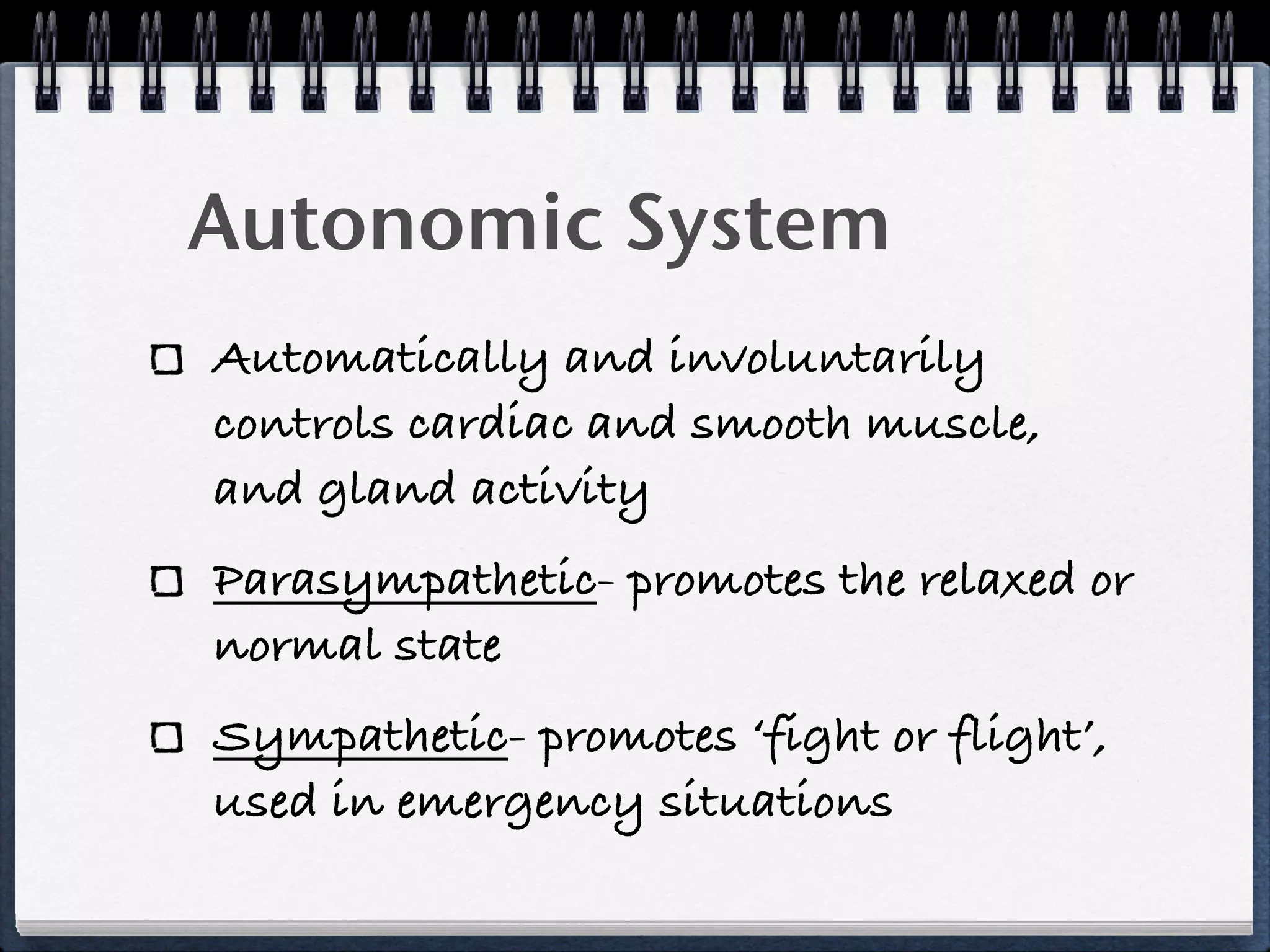 Autonomic System
Automatically and involuntarily
controls cardiac and smooth muscle,
and gland activity
Parasympathetic- promotes the relaxed or
normal state
Sympathetic- promotes ‘fight or flight’,
used in emergency situations
 