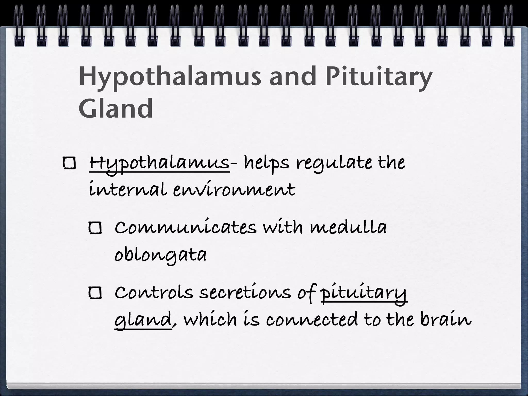 Hypothalamus and Pituitary
Gland
Hypothalamus- helps regulate the
internal environment
  Communicates with medulla
  oblongata
  Controls secretions of pituitary
  gland, which is connected to the brain
 