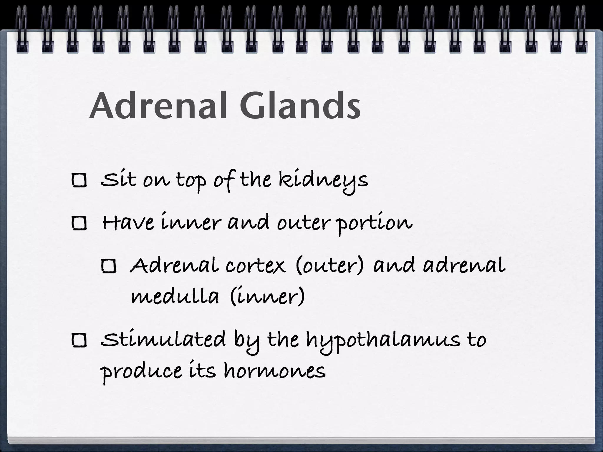 Adrenal Glands
Sit on top of the kidneys
Have inner and outer portion
  Adrenal cortex (outer) and adrenal
  medulla (inner)
Stimulated by the hypothalamus to
produce its hormones
 