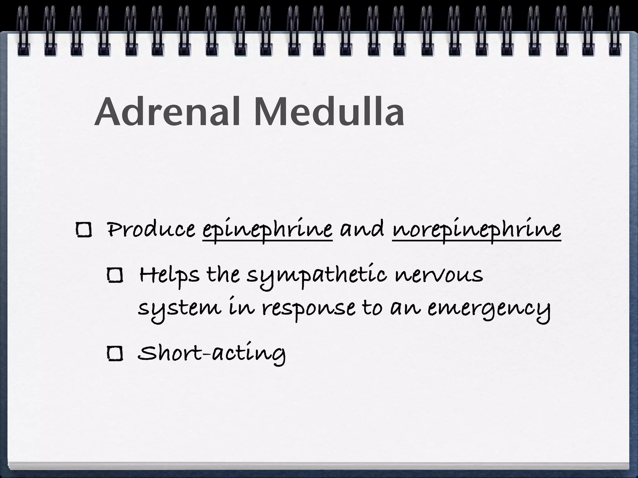 Adrenal Medulla

Produce epinephrine and norepinephrine
  Helps the sympathetic nervous
  system in response to an emergency
  Short-acting
 