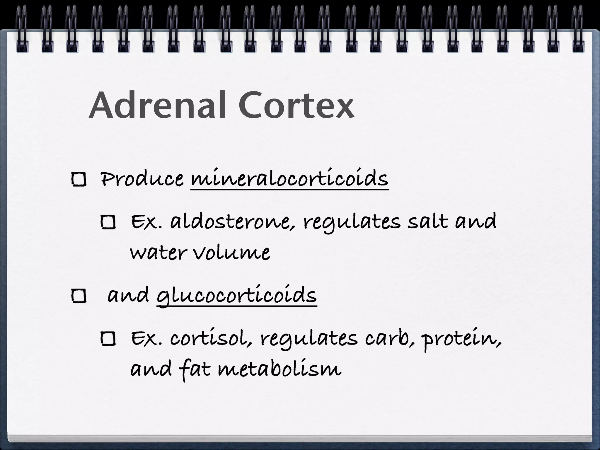 Adrenal Cortex
Produce mineralocorticoids
  Ex. aldosterone, regulates salt and
  water volume
and glucocorticoids
  Ex. cortisol, regulates carb, protein,
  and fat metabolism
 