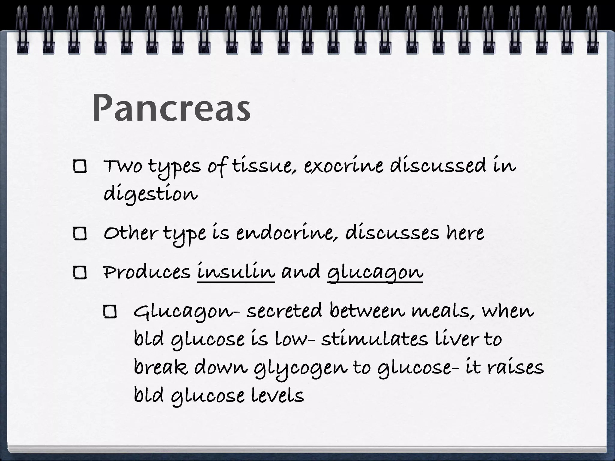 Pancreas
Two types of tissue, exocrine discussed in
digestion
Other type is endocrine, discusses here
Produces insulin and glucagon
   Glucagon- secreted between meals, when
   bld glucose is low- stimulates liver to
   break down glycogen to glucose- it raises
   bld glucose levels
 