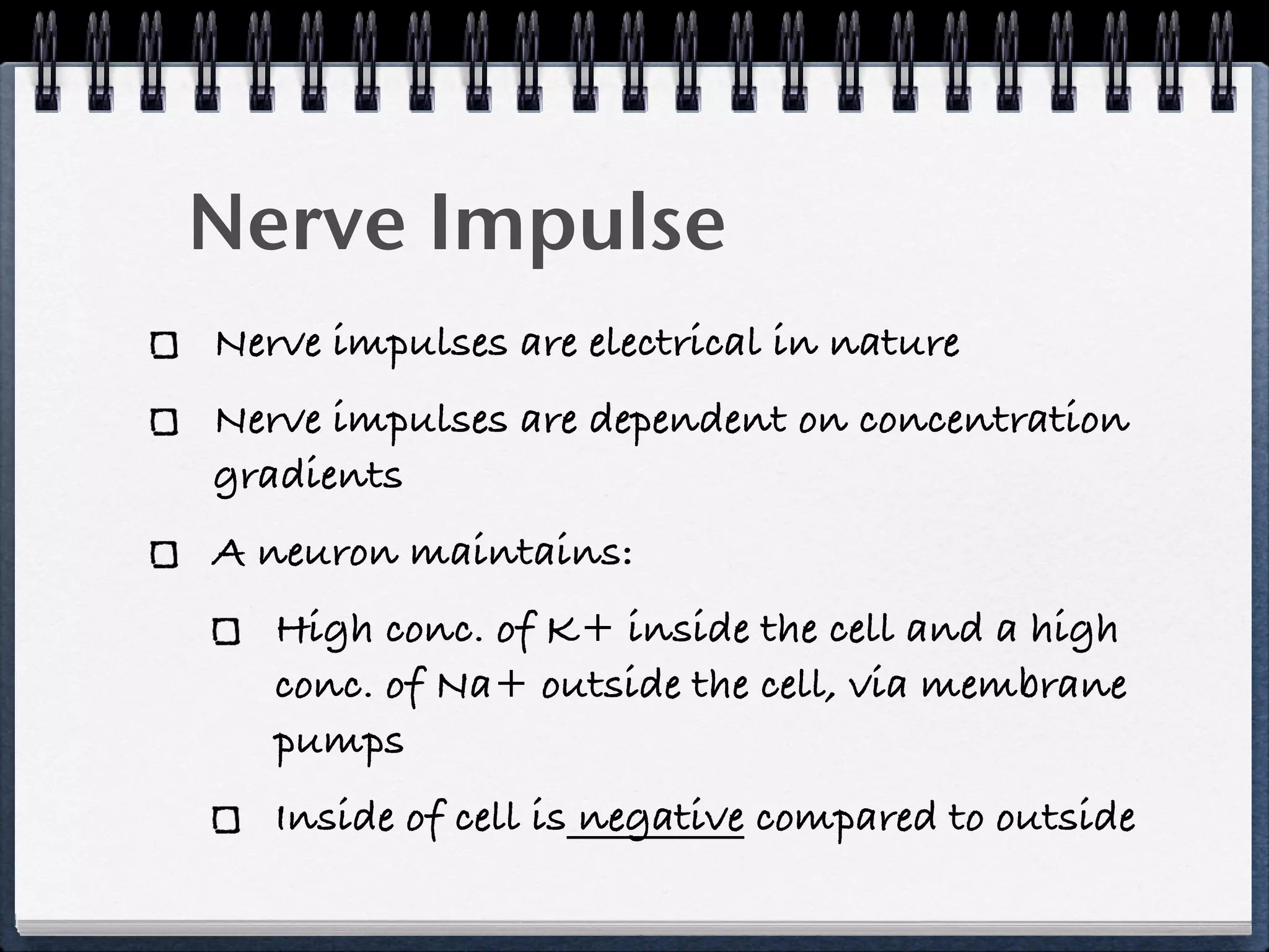 Nerve Impulse
Nerve impulses are electrical in nature
Nerve impulses are dependent on concentration
gradients
A neuron maintains:
   High conc. of K+ inside the cell and a high
   conc. of Na+ outside the cell, via membrane
   pumps
   Inside of cell is negative compared to outside
 