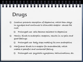 Drugs
Cocaine: prevents resorption of dopamine, which then stays
in synapse and continues to stimulate receptor- causes the
rush
    Prolonged use- cells become resistant to dopamine
Heroin: binds to endorphin receptors, results in no pain and
good feelings
    Prolonged use- body stops making its own endorphins
Marijuana: binds to a receptor for anandamide, which
creates a peaceful and contented feeling
    Prolonged use- psychotic symptoms, hallucinations, etc.
 