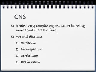 CNS
Brain- very complex organ, we are learning
more about it all the time
We will discuss:
  Cerebrum
  Diencephalon
  Cerebellum
  Brain Stem
 