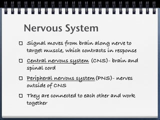 Nervous System
Signal moves from brain along nerve to
target muscle, which contracts in response
Central nervous system (CNS)- brain and
spinal cord
Peripheral nervous system(PNS)- nerves
outside of CNS
They are connected to each other and work
together
 
