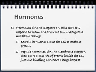 Hormones
Hormones bind to receptors on cells that can
respond to them, and then the cell undergoes a
metabolic change
   Steroid hormones cause the cell to make a
   protein
   Peptide hormones bind to membrane receptor,
   then start a cascade of events inside the cell-
   just one binding can have a huge impact
 