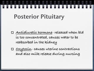 Posterior Pituitary

Antidiuretic hormone- released when bld
is too concentrated, causes water to be
reabsorbed in the kidney
Oxytocin- causes uterine contractions
and also milk release during nursing
 