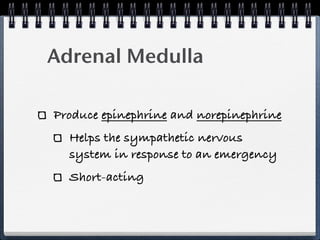 Adrenal Medulla

Produce epinephrine and norepinephrine
  Helps the sympathetic nervous
  system in response to an emergency
  Short-acting
 