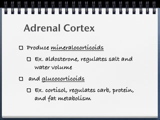 Adrenal Cortex
Produce mineralocorticoids
  Ex. aldosterone, regulates salt and
  water volume
and glucocorticoids
  Ex. cortisol, regulates carb, protein,
  and fat metabolism
 