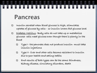 Pancreas
Insulin secreted when blood glucose is high, stimulates
uptake of glucose by cells-- so insulin lowers bld glucose level
Diabetes Mellitus- Body cells do not take up or metabolize
glucose- cells need glucose even though there is plenty in the
blood
    Type I- the pancreas does not produce insulin- must take
    insulin injections
    Type II- liver and other cells become resistant to insulin
    due to poor health and eating habits
    End results of both types can be the same: blindness,
    kidney disease, circulatory disorders, death
 