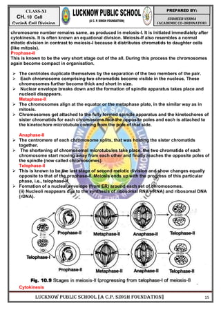 LUCKNOW PUBLIC SCHOOL [A C.P. SINGH FOUNDATION] 15
SUDHEER VERMA
(ACADEMIC CO-ORDINATOR)
PREPARED BY:
CLASS-XI
CH. 10 Cell
Cycle& Cell Division
chromosome number remains same, as produced in meiosis-I. It is initiated immediately after
cytokinesis. It is often known an equational division. Meiosis-lf also resembles a normal
mitotic division in contrast to meiosis-I because it distributes chromatids to daughter cells
(like mitosis).
Prophase-ll
This is known to be the very short stage out of the all. During this process the chromosomes
again become compact in organisation.
 The centrioles duplicate themselves by the separation of the two members of the pair.
 Each chromosome comprising two chromatids become visible in the nucleus. These
chromosomes further become thick and short in size.
 Nuclear envelope breaks down and the formation of spindle apparatus takes place and
nucleoli disappears.
Metaphase-ll
 The chromosomes align at the equator or the metaphase plate, in the similar way as in
mitosis.
 Chromosomes get attached to the fully formed spindle apparatus and the kinetochores of
sister chromatids for each chromosome face the opposite poles and each is attached to
the kinetochore microtubule coming from the pole of that side.
Anaphase-ll
 The centromere of each chromosome splits, that was holding the sister chromatids
together.
 The shortening of chromosomal microtubules take place, the two chromatids of each
chromosome start moving away from each other and finally reaches the opposite poles of
the spindle (now called chromosomes).
Telophase-ll
 This is known to be the last stage of second meiotic division and show changes equally
opposite to that of the prophase-II. Meiosis ends up with the progress of this particular
phase, i.e., telophase-II.
 Formation of a nuclear envelope (from ER) around each set of chromosomes.
(ii) Nucleoli reappears due to the synthesis of ribosomal RNA (rRNA) and ribosomal DNA
(rDNA).
Cytokinesis
 
