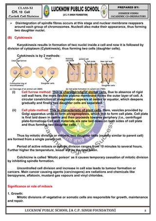 LUCKNOW PUBLIC SCHOOL [A C.P. SINGH FOUNDATION] 8
SUDHEER VERMA
(ACADEMIC CO-ORDINATOR)
PREPARED BY:
CLASS-XI
CH. 10 Cell
Cycle& Cell Division
 Disintegration of spindle fibres occurs at this stage and nuclear membrane reappears
around each group of chromosomes. Nucleoli also make their appearance, thus forming
two daughter nuclei.
(B) Cytokinesis
Karyokinesis results in formation of two nuclei inside a cell and now it is followed by
division of cytoplasm (Cytokinesis), thus forming two cells (daughter cells).
Cytokinesis is by 2 methods:
(i) Cell furrow method: This is characteristic of animal cells. Due to absence of rigid
cell wall here, the more flexible plasma membrane forms the outer layer of cell. A
circular constriction or invagination appears at centre or equator, which deepens
gradually and finally two daughter cells are separated.
(ii) Cell plate method: This is characteristic of plant cells. Here, vesicles provided by
Golgi apparatus unite to form phragmoplasts, which join to form cell plate. Cell plate
is first laid down in centre and then proceeds towards periphery (i.e., centrifugal
plate-formation). Cell wall materials are now laid down on both sides of cell plate
and thus forming two daughter cells.
Thus by mitotic division or mitosis, two daughter cells (exactly similar to parent cell)
are formed from a single parent cell.
Period of active mitosis or mitotic division ranges from 10 minutes to several hours.
Further higher the temperature, lesser will be the time taken.
Colchicine is called ‗Mitotic poison‘ as it causes temporary cessation of mitotic division
by inhibiting spindle formation.
Uncontrolled cell division and increase in cell size leads to tumour formation or
cancers. Main cancer causing agents (carcinogens) are radiations and chemicals like
benzpyrene, aflatoxin, mustard gas vapours and vinyl chlorides.
Significance or role of mitosis
1. Growth:
Mitotic divisions of vegetative or somatic cells are responsible for growth, maintenance
and repair.
 