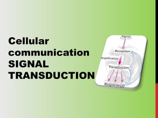 Cellular
communication
SIGNAL
TRANSDUCTION
 
