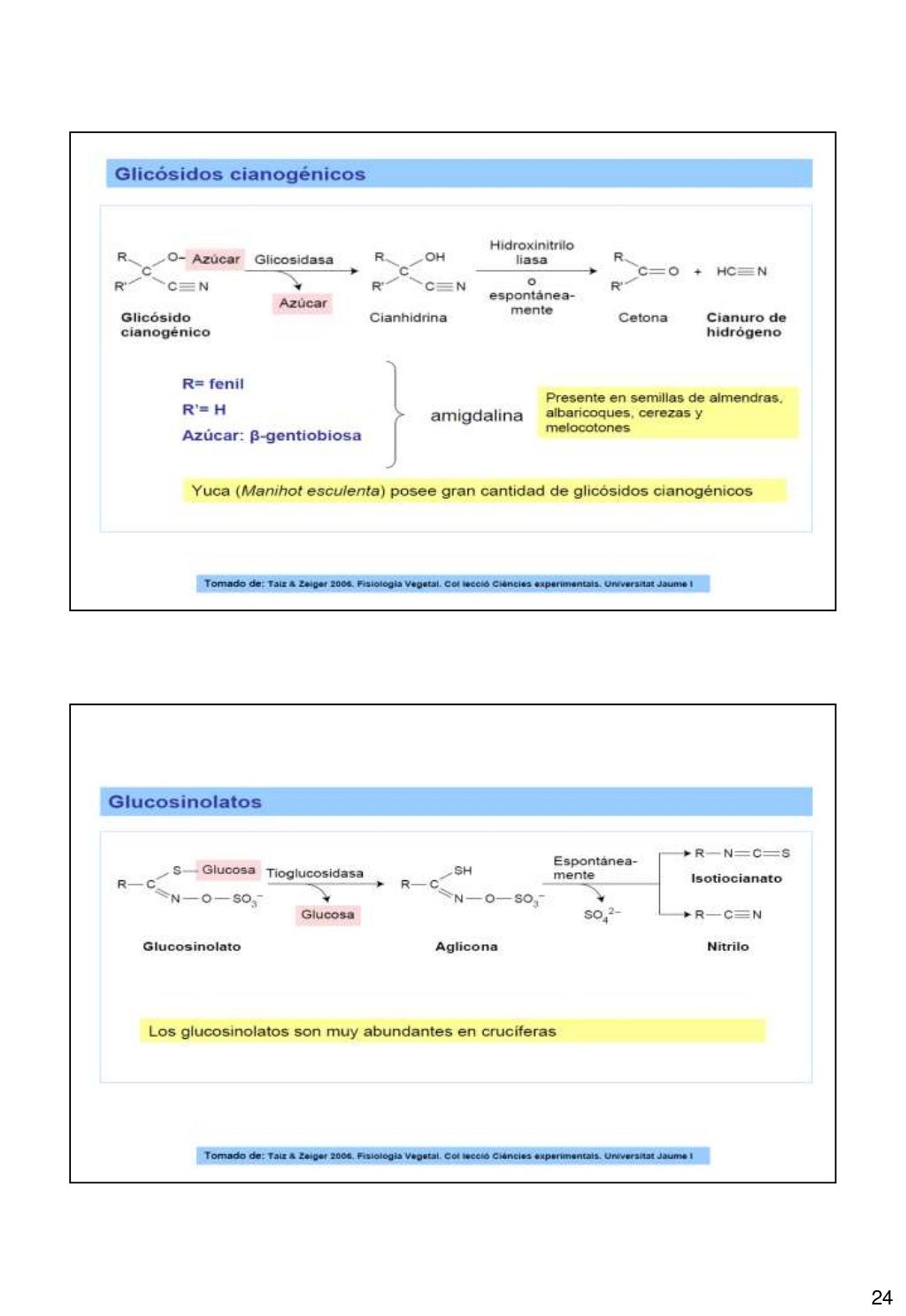 Metabolitos Secundarios