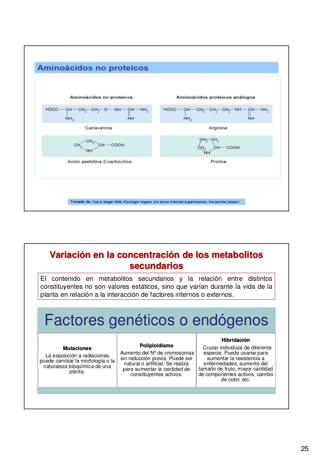 Metabolitos Secundarios